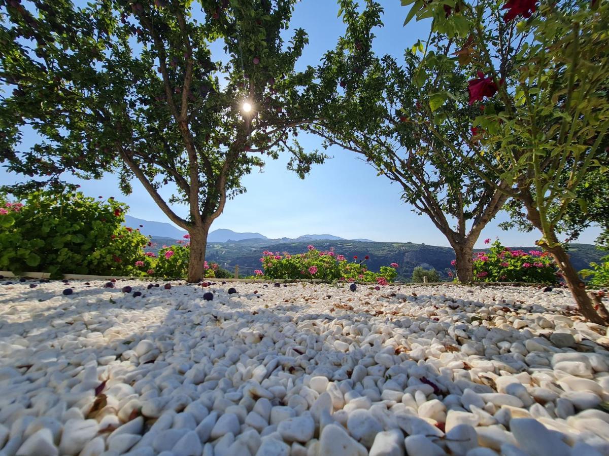 Dhafnes Ornament: Infinite Nature Villa מראה חיצוני תמונה