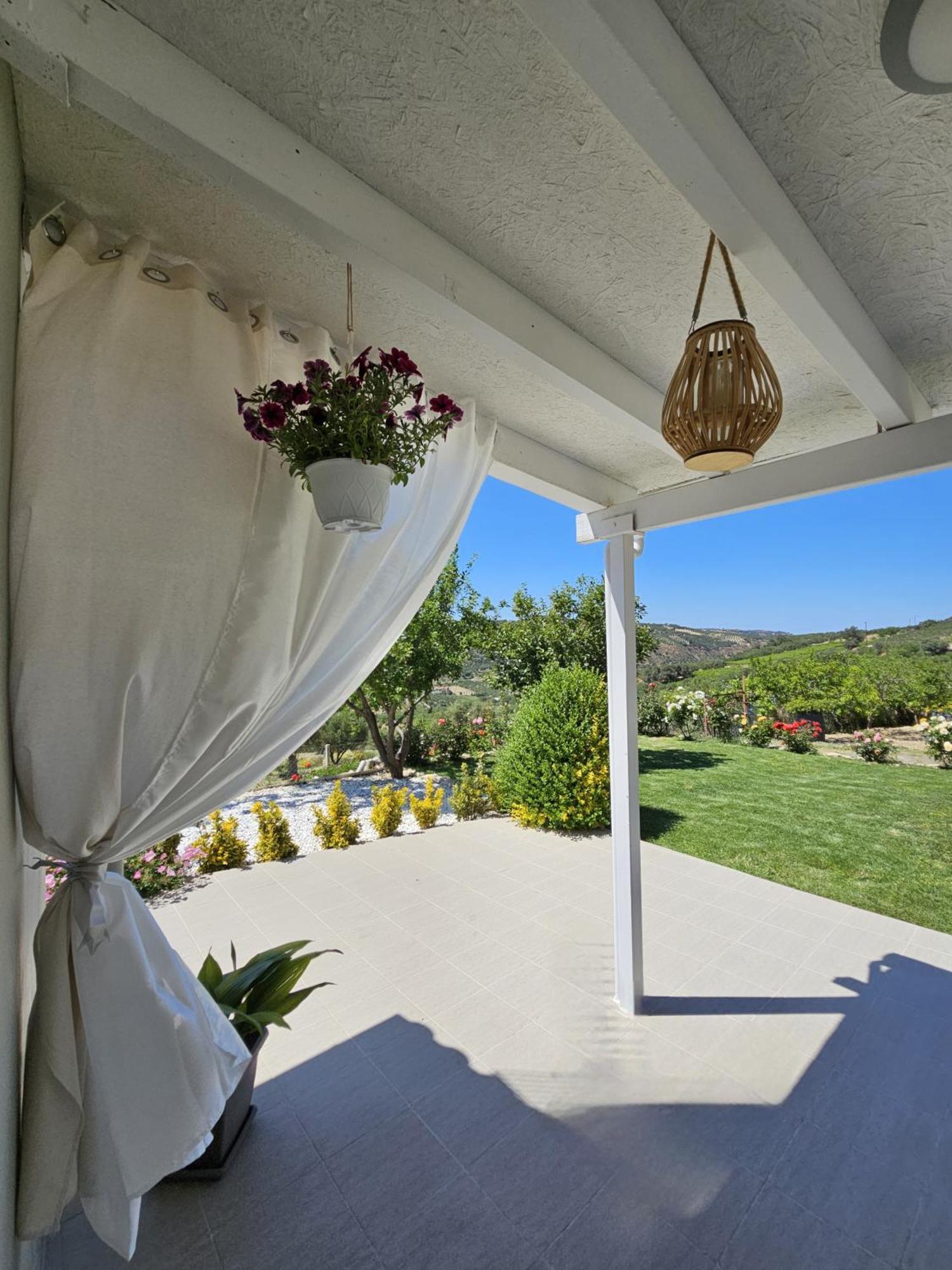 Dhafnes Ornament: Infinite Nature Villa מראה חיצוני תמונה