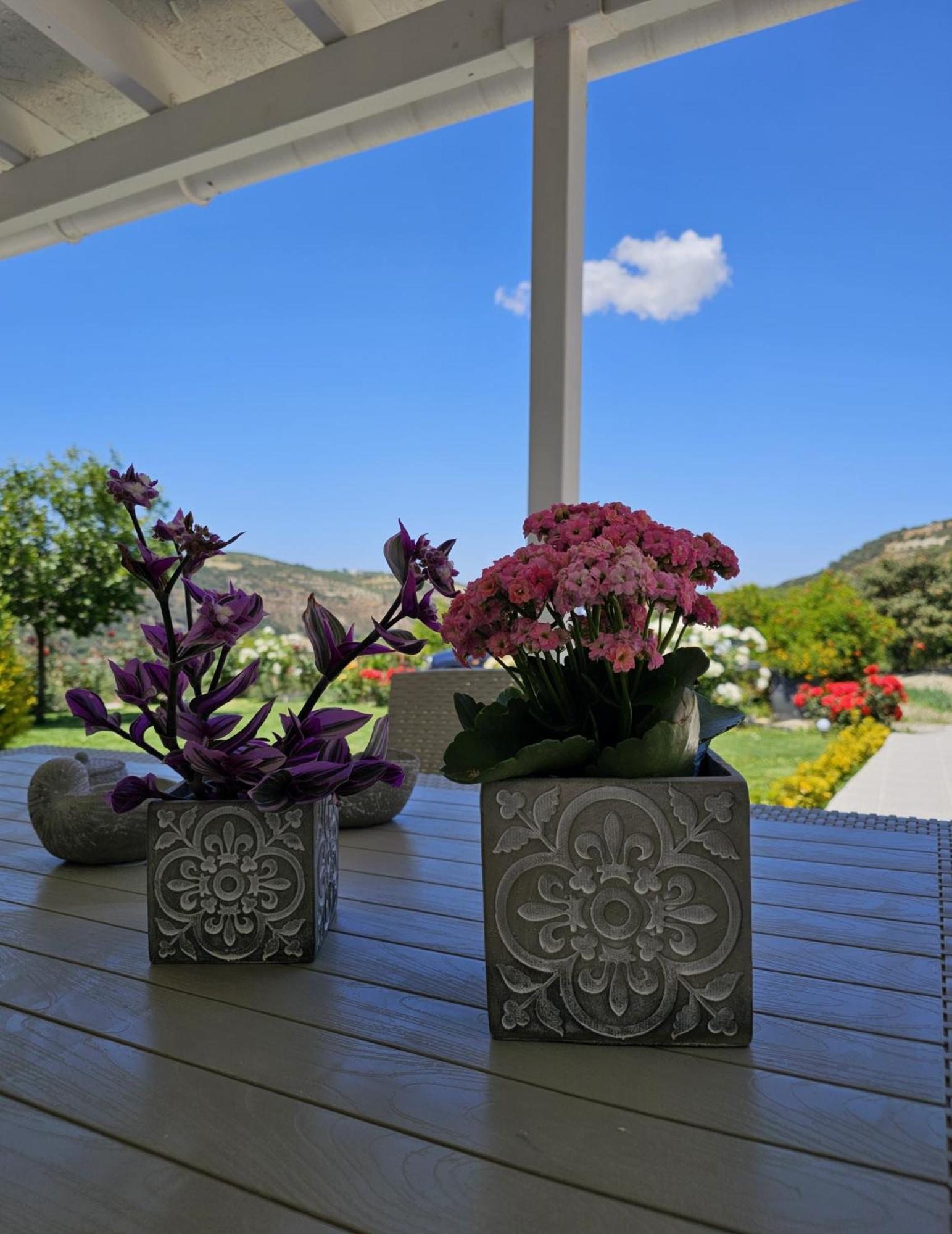 Dhafnes Ornament: Infinite Nature Villa מראה חיצוני תמונה